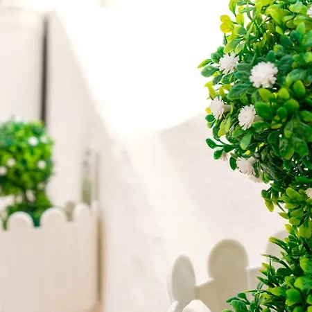 Apartmán Villa Beach *